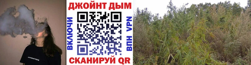 Где купить наркоту Владимир кракен как зайти  NBOMe  МЕФ  Alpha-PVP  Каннабис 