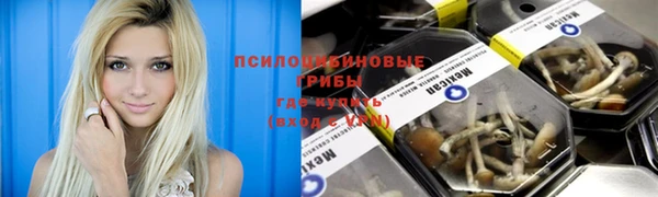 Альфа ПВП Нязепетровск