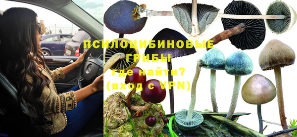 Альфа ПВП Нязепетровск