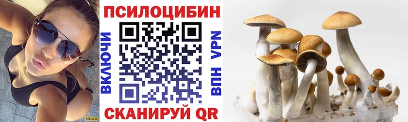 даркнет сайт  Владимир  Галлюциногенные грибы мухоморы 