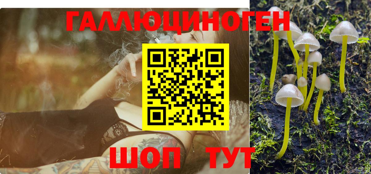 Псилоцибиновые грибы Psilocybe  Вход с VPN  Владимир  Псилоцибиновые грибы GOLDEN TEACHER 